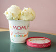 Vanilla Ice Cream