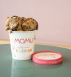 Mud Ice Cream