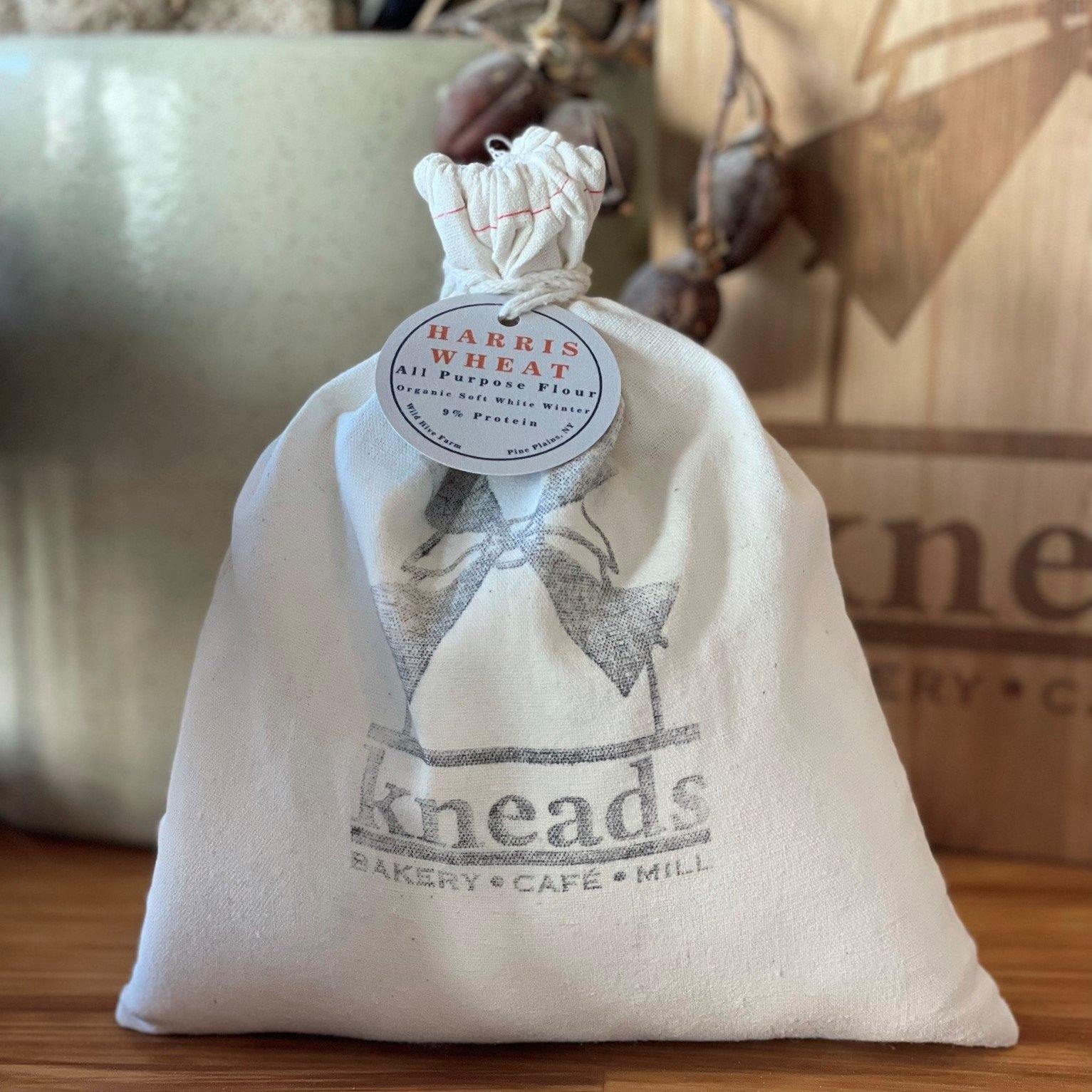 All Purpose Flour - Kneads • Bakery • Café • Mill